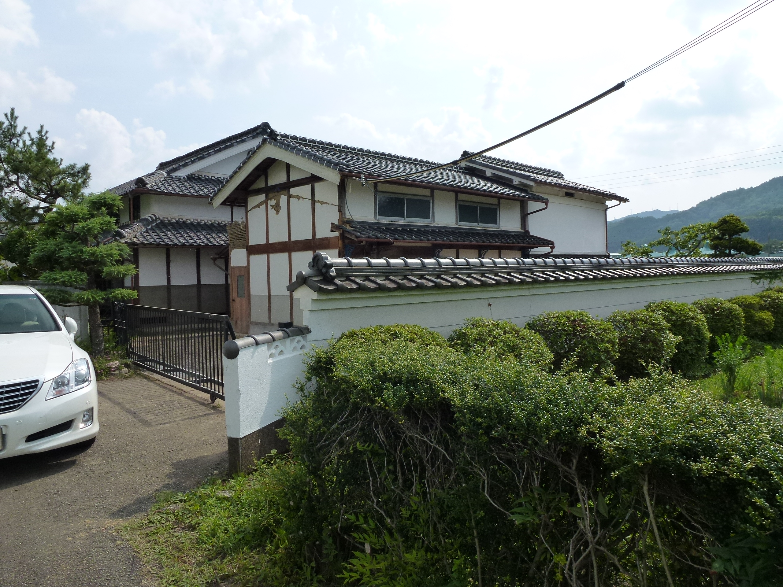 P1000131.JPG