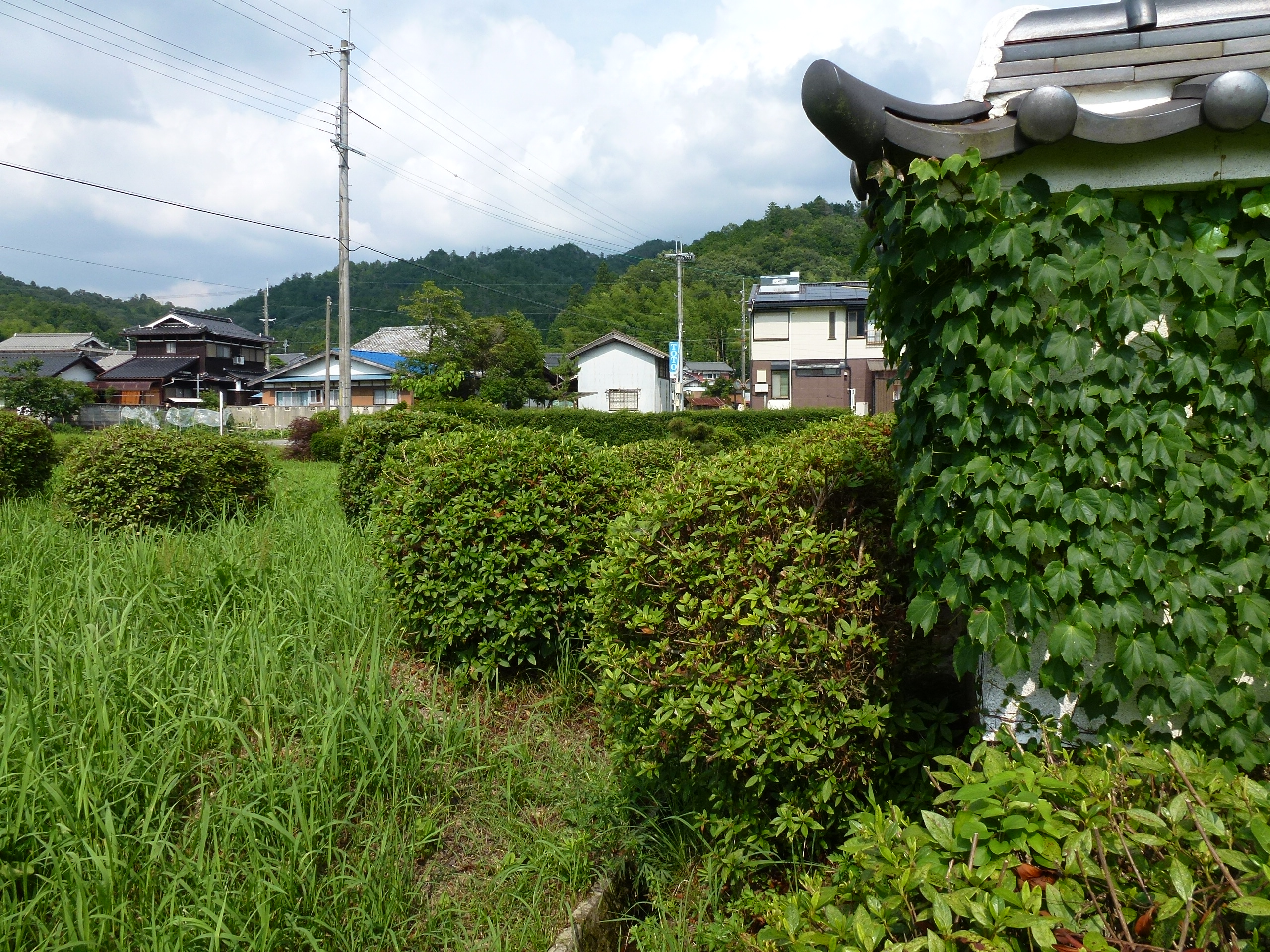 P1000136.JPG