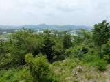 img0007.jpg