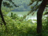 img0009.jpg