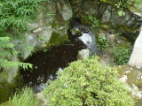 img0028.jpg