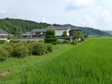 img0043.jpg