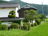 img0044.jpg