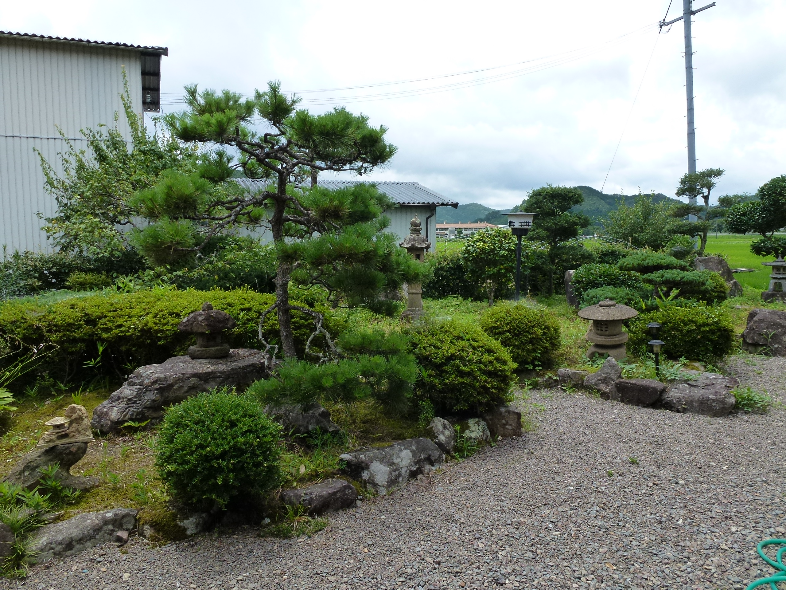 P1000147.JPG