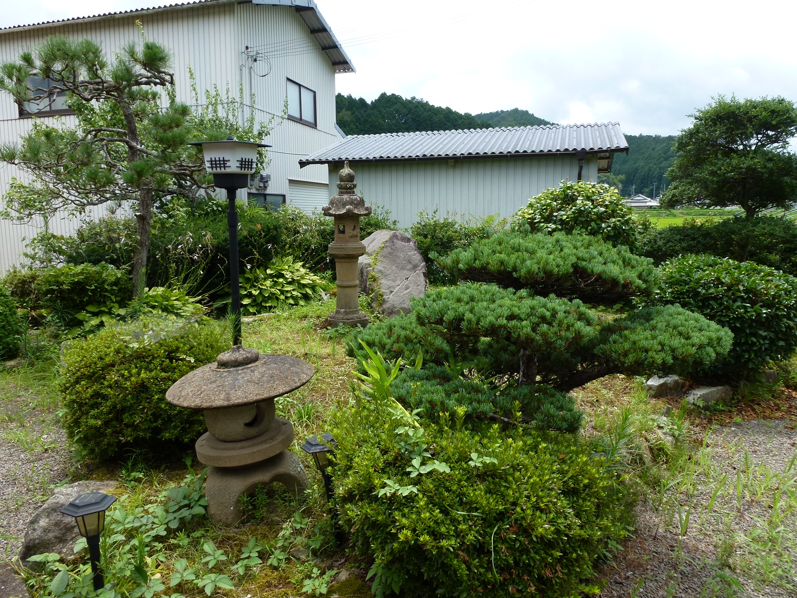 P1000148.JPG