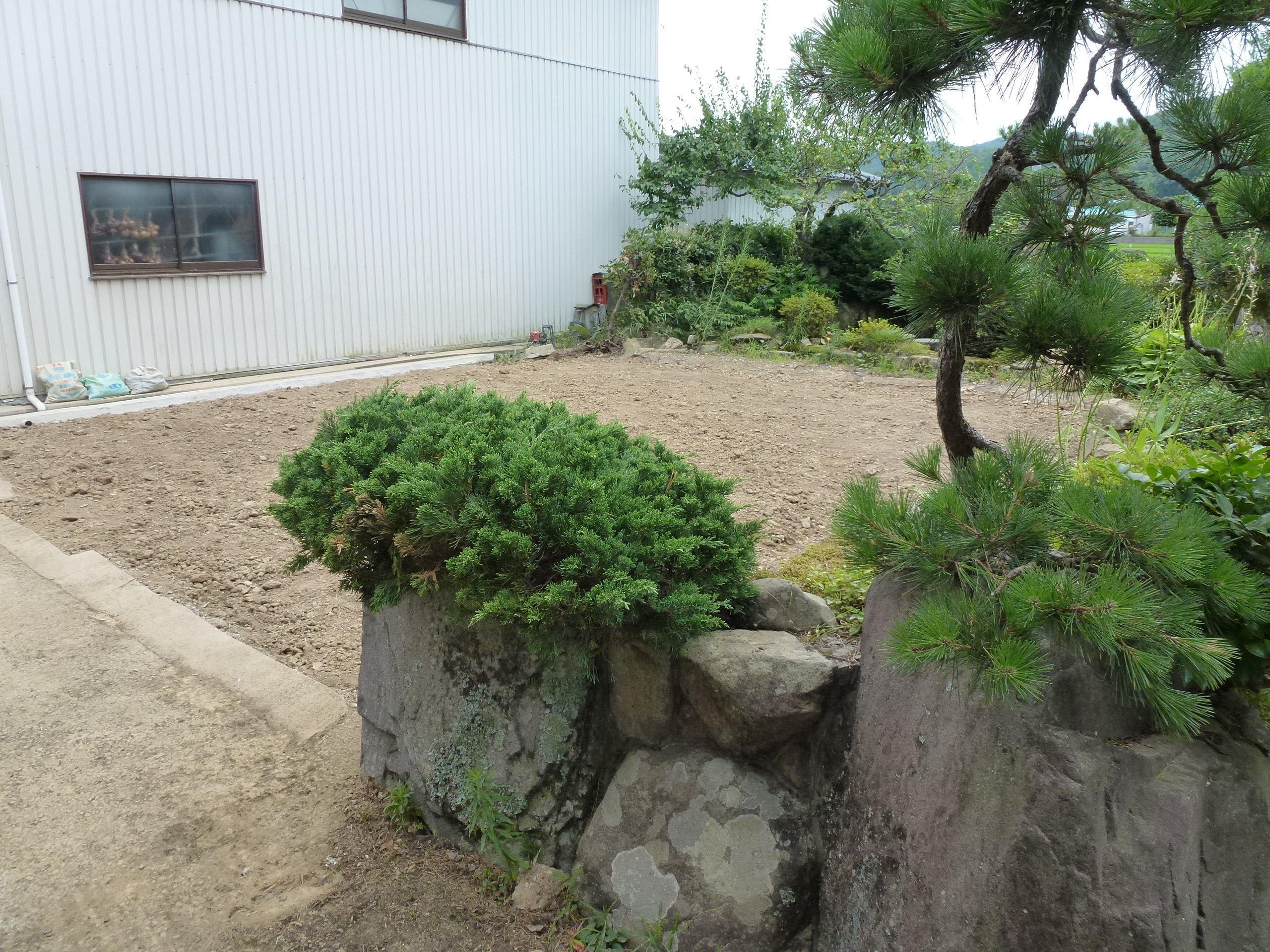 P1000150.JPG