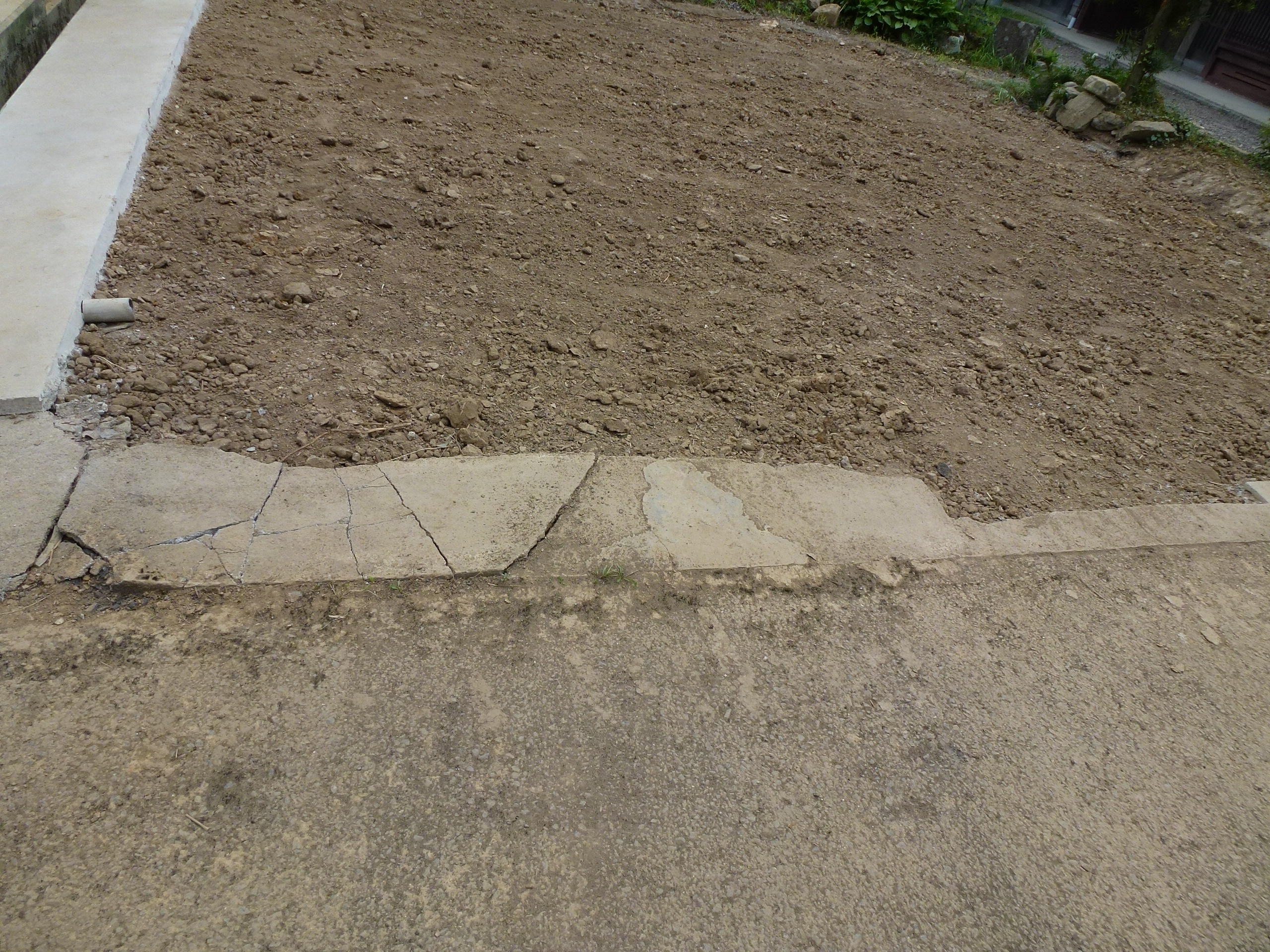 P1000153.JPG