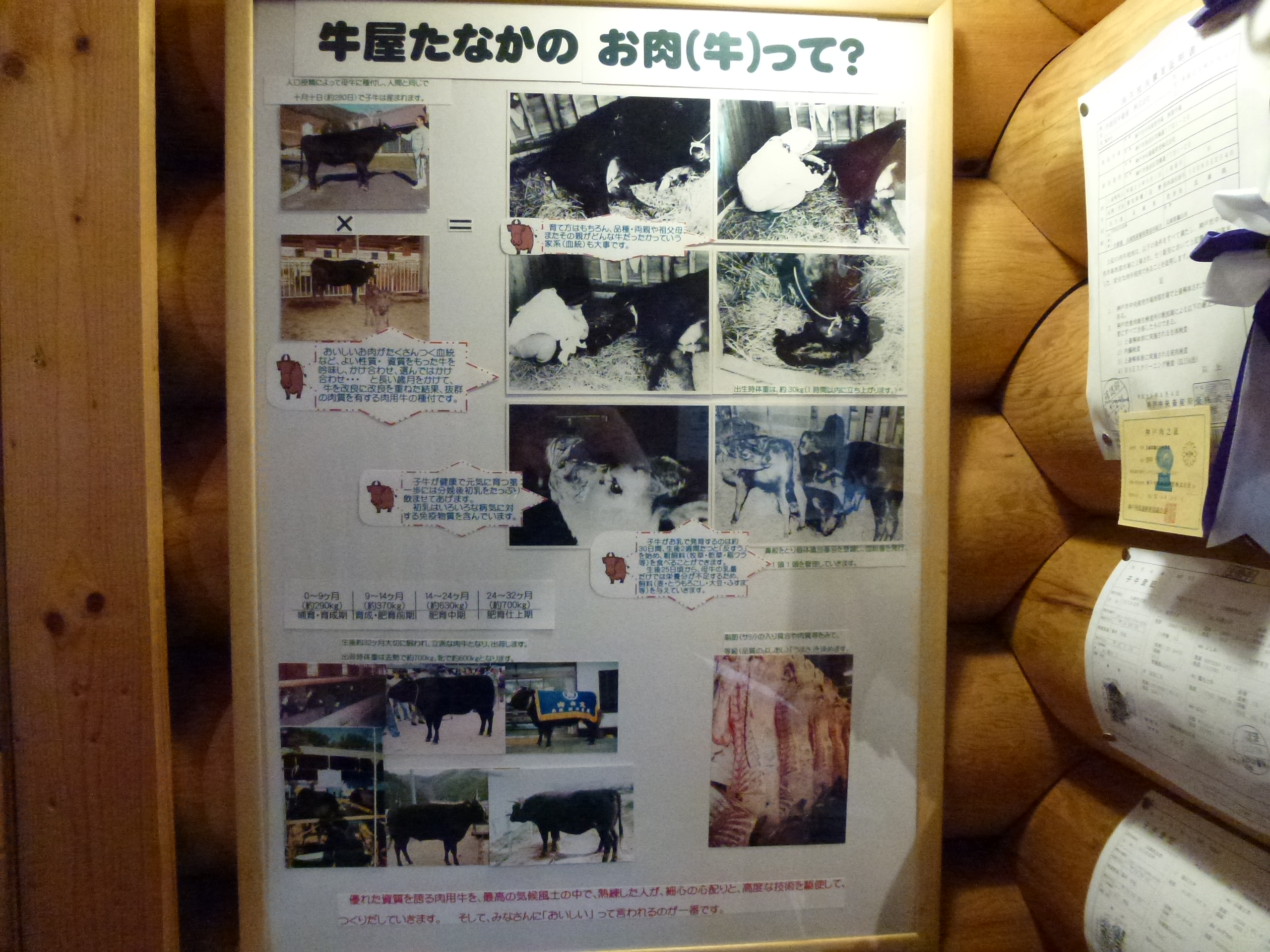 P1000161.JPG