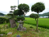 img0002.jpg