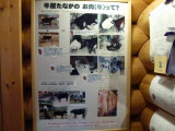 img0017.jpg