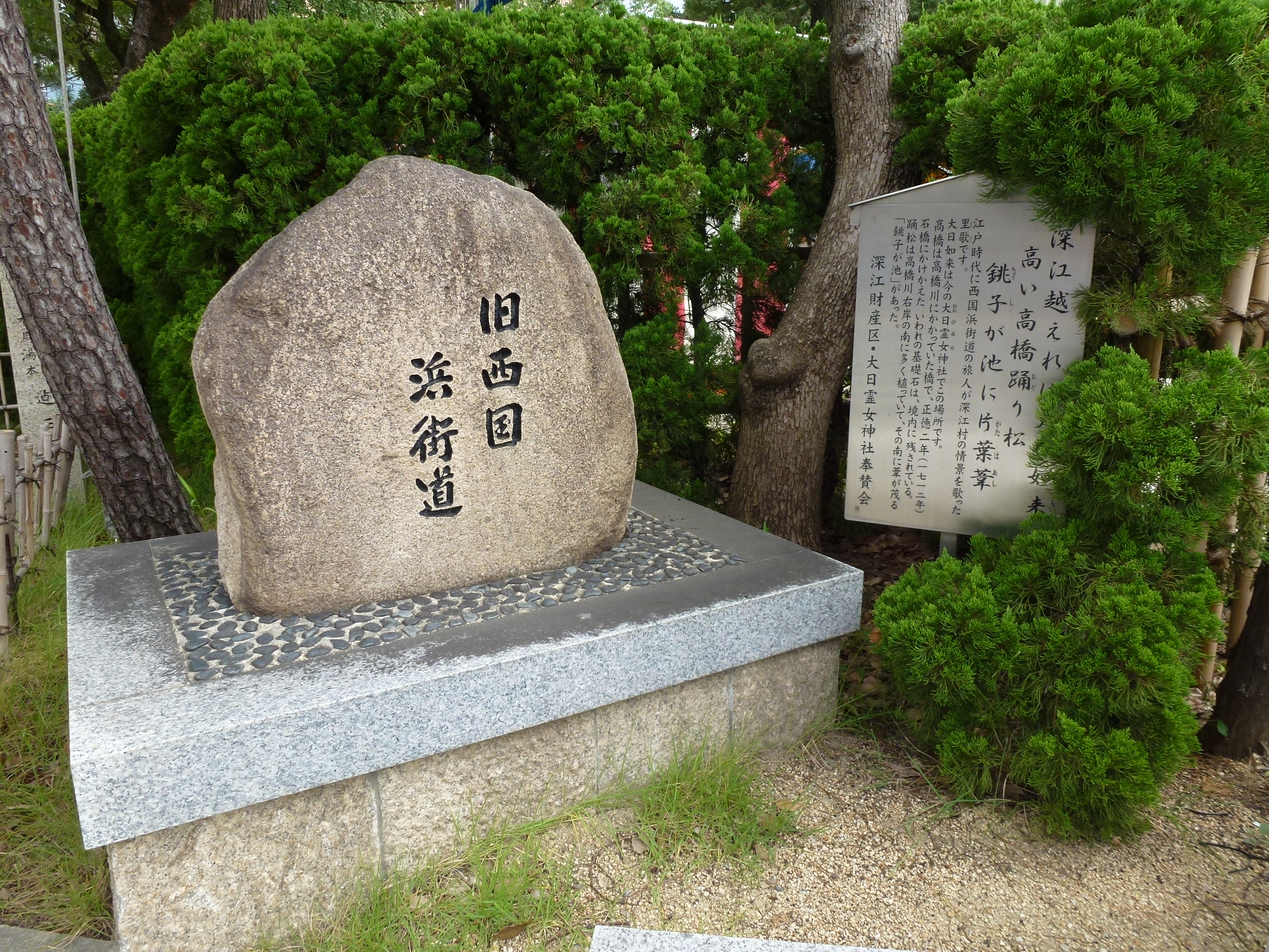 P1000168.JPG