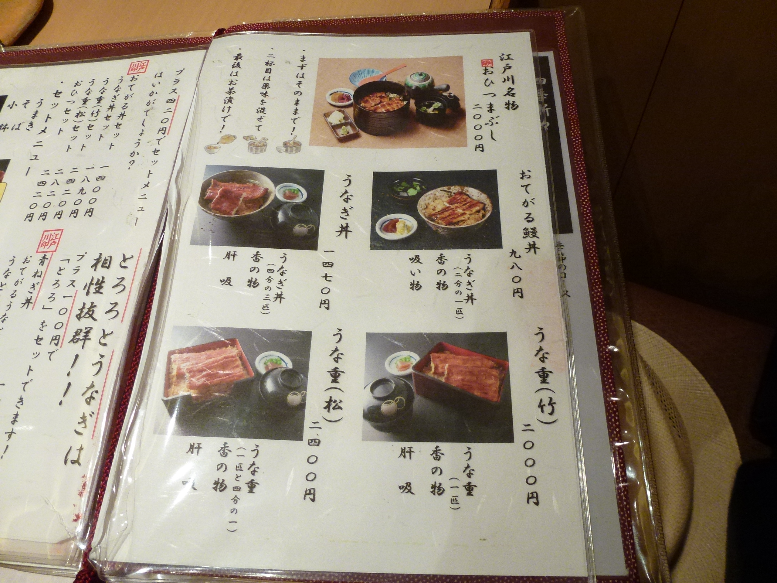 P1000175.JPG