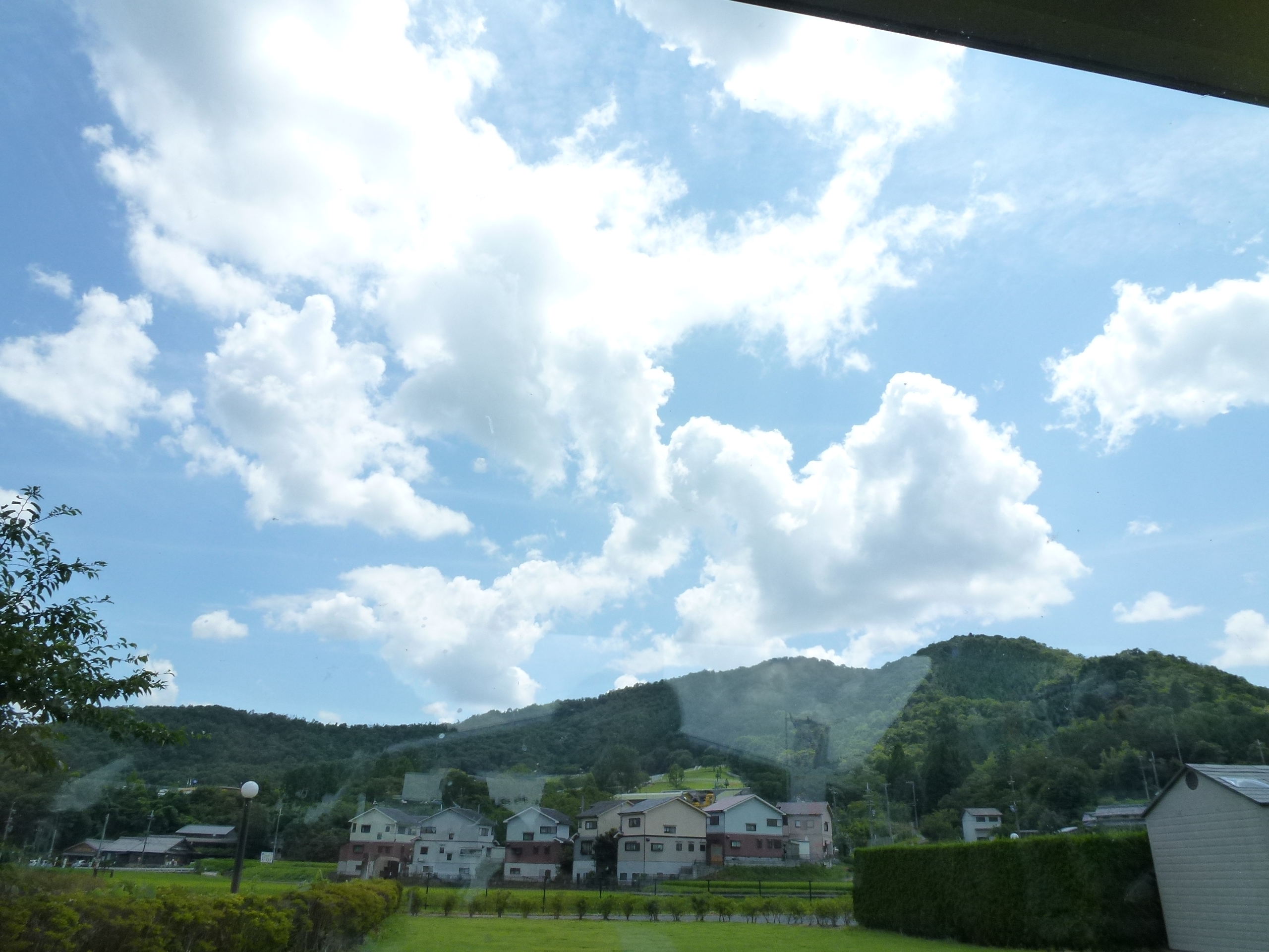 P1000179.JPG