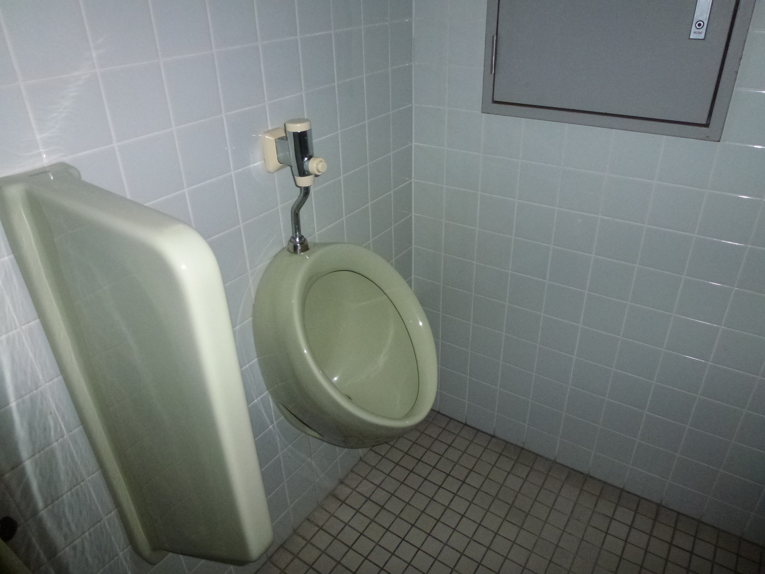 P1000194.JPG