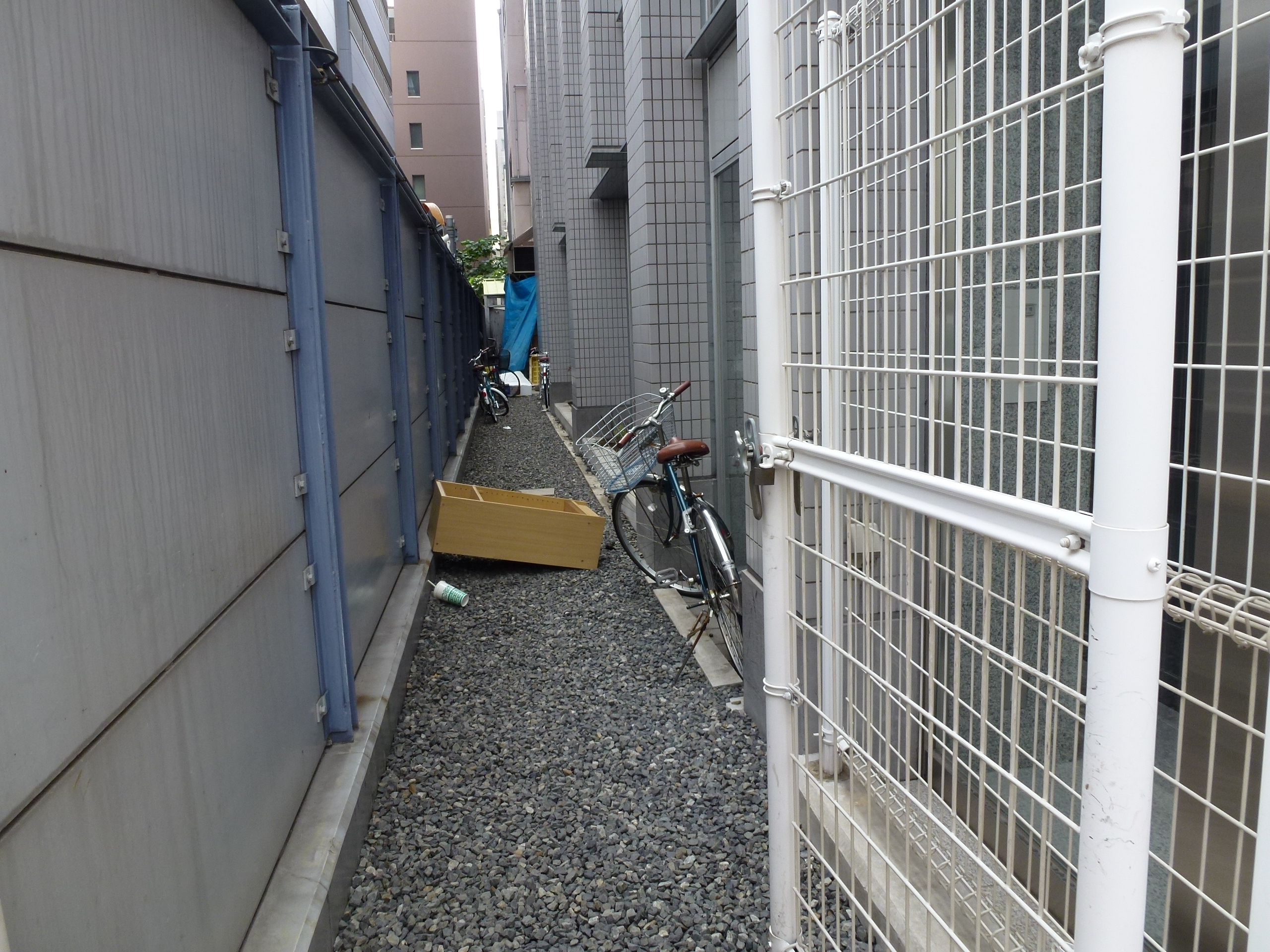 P1000217.JPG
