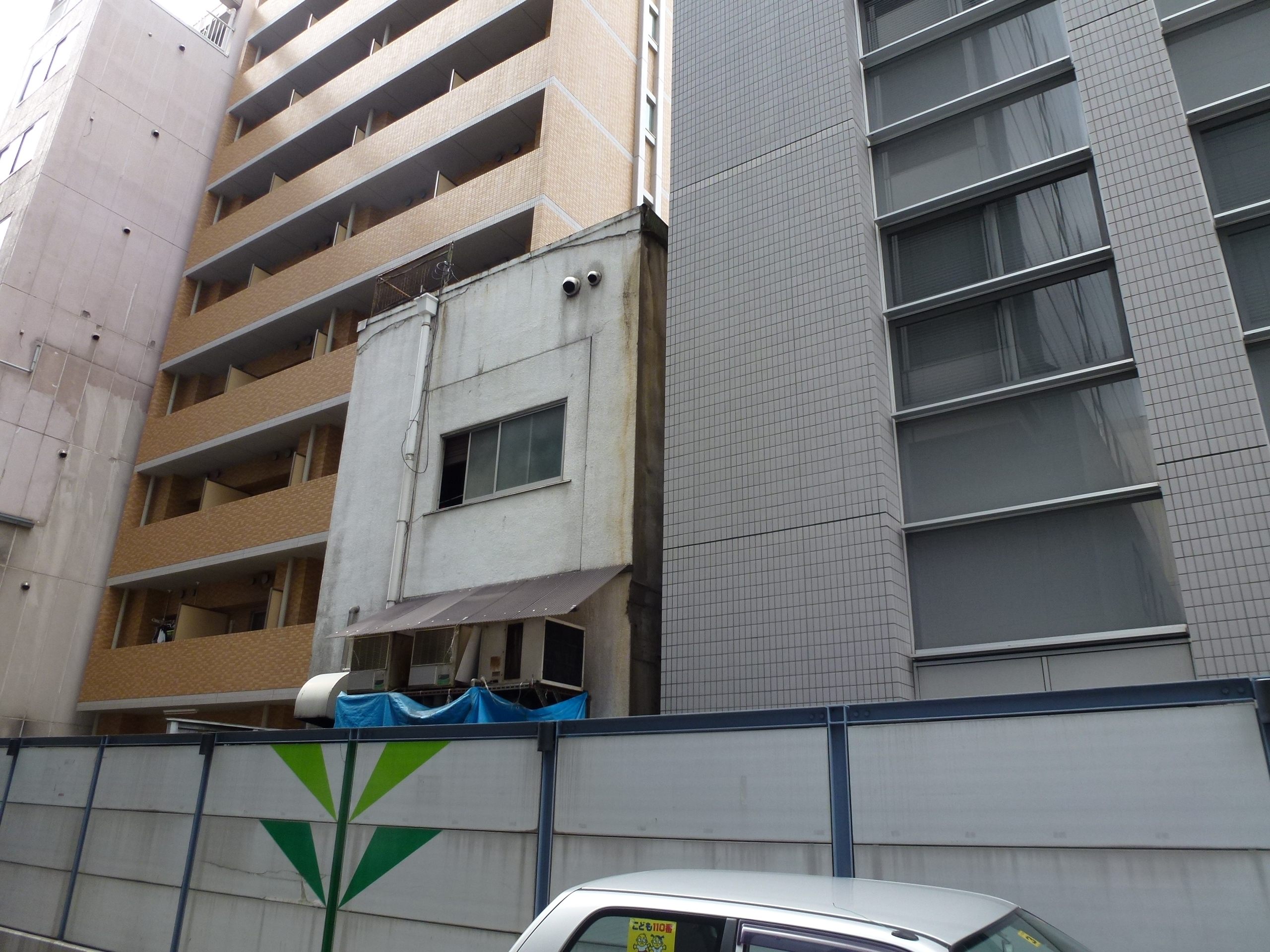 P1000220.JPG