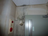 img0005.jpg