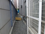 img0025.jpg