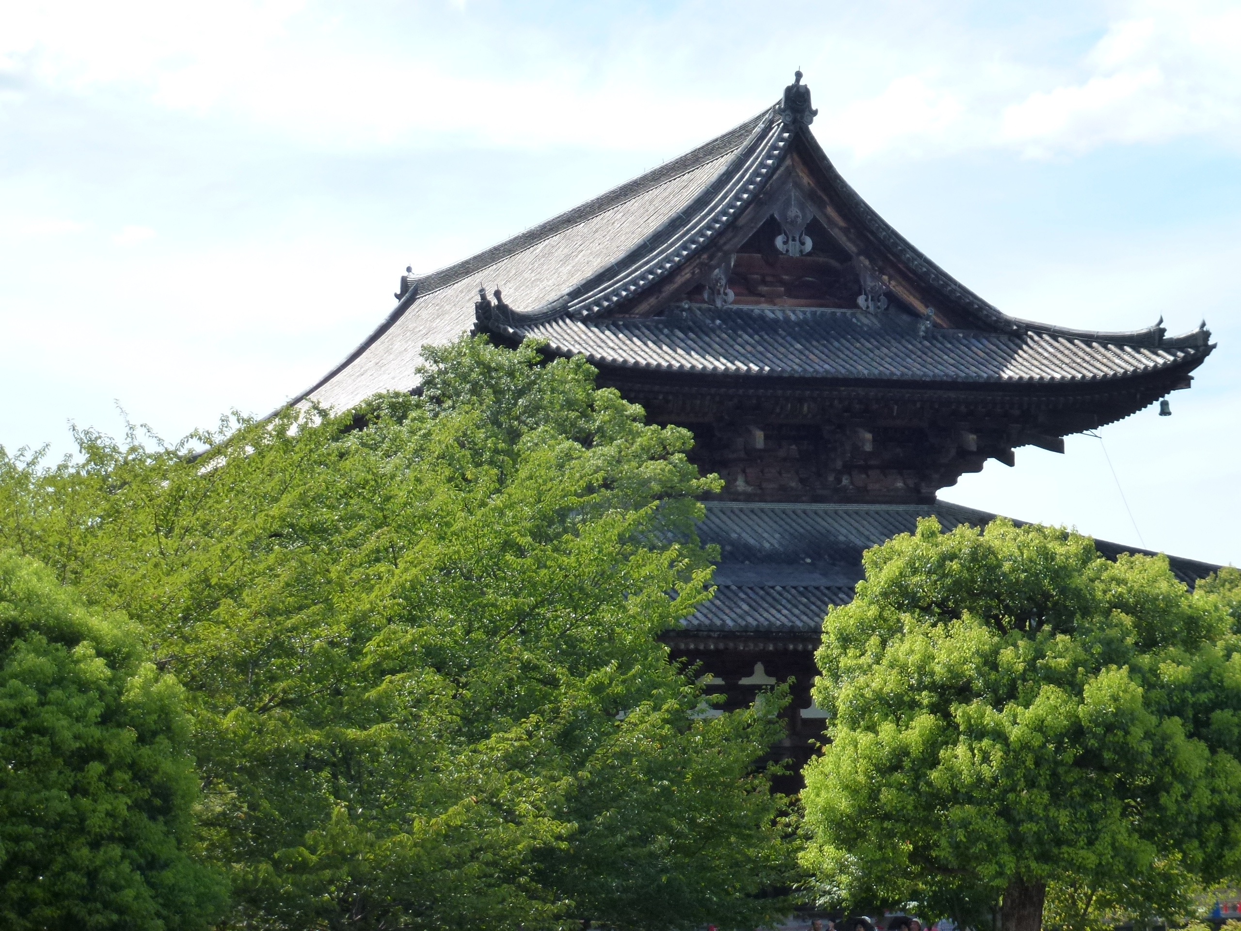 P1000225.JPG