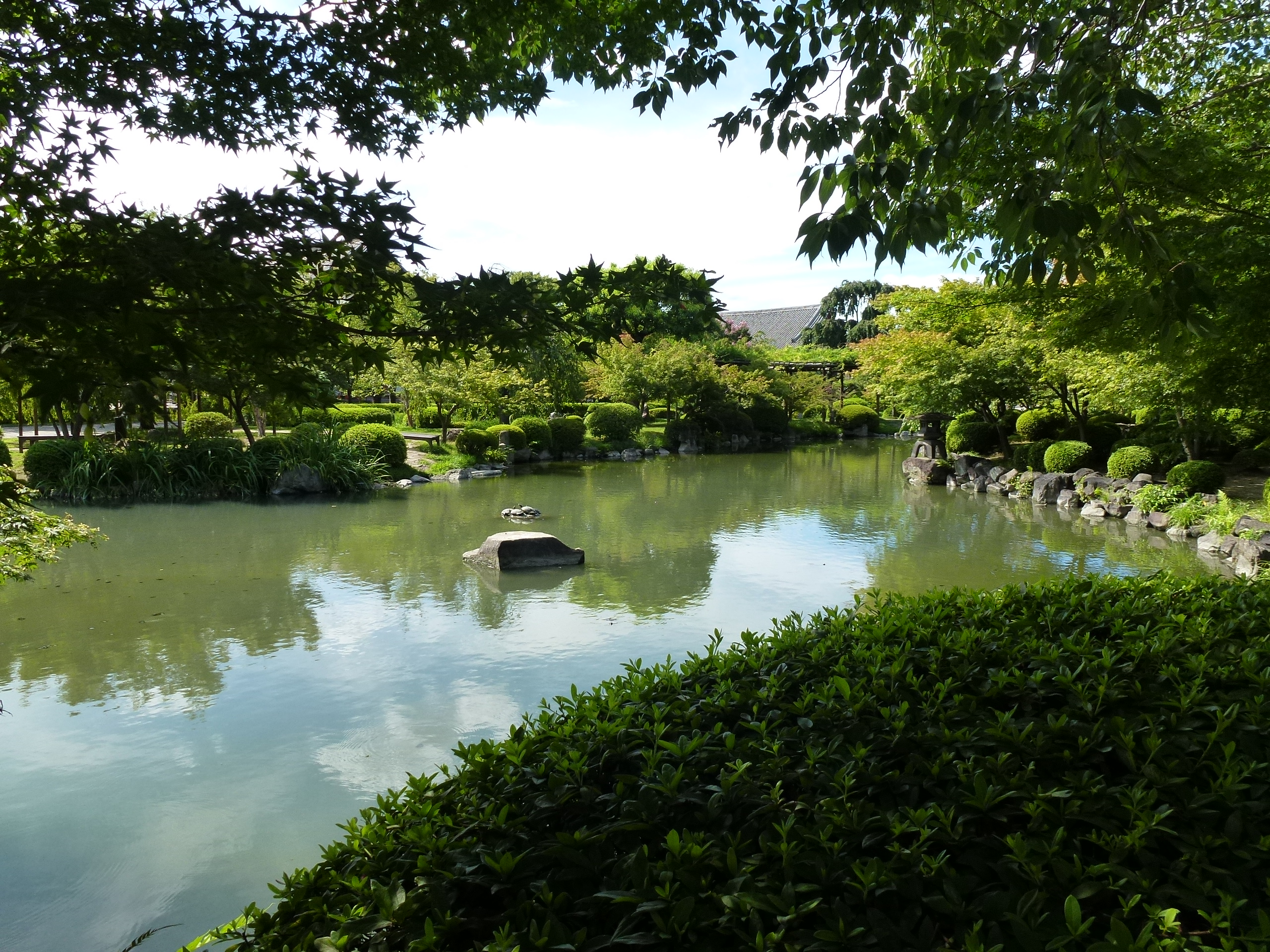 P1000228.JPG