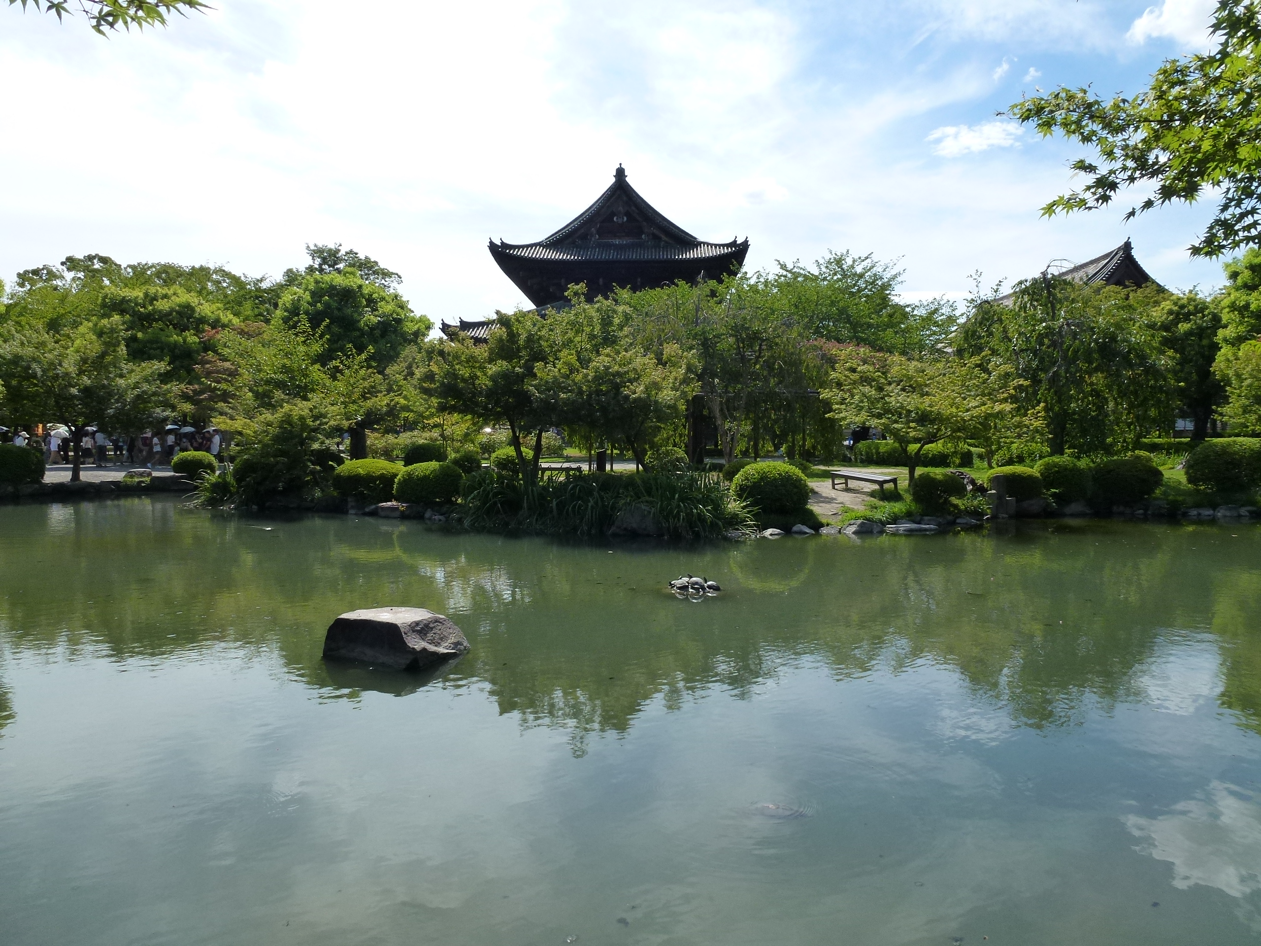 P1000229.JPG