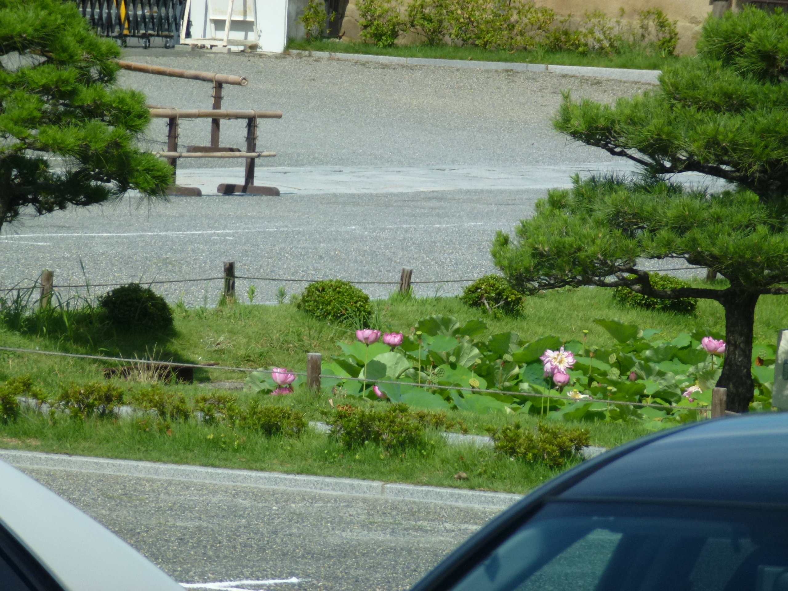 P1000236.JPG