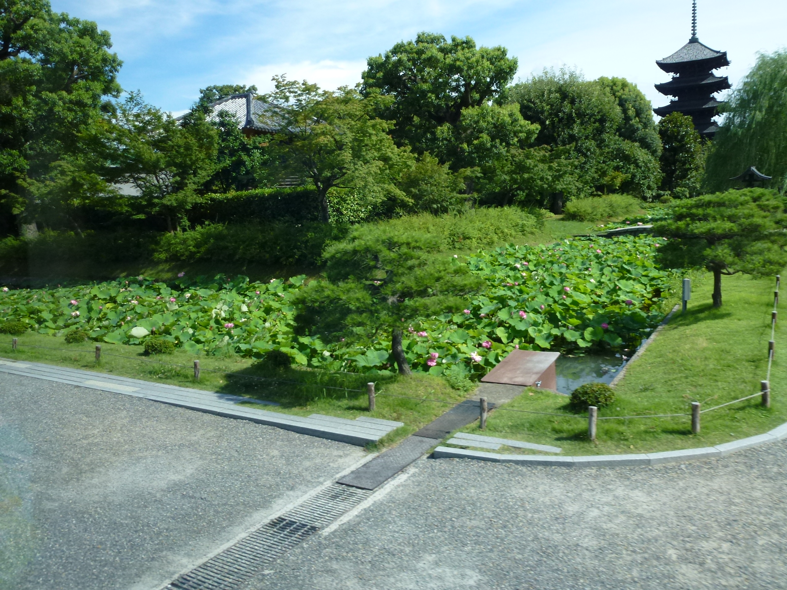 P1000237.JPG