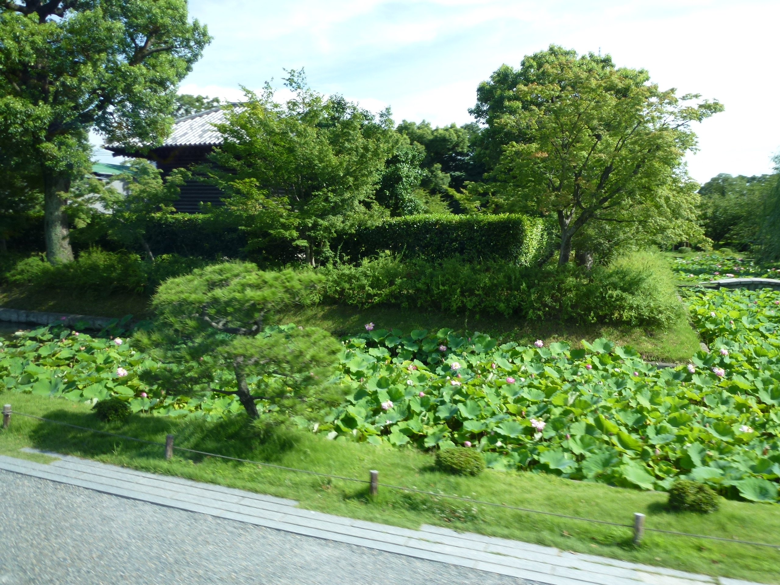 P1000238.JPG