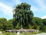 img0002.jpg