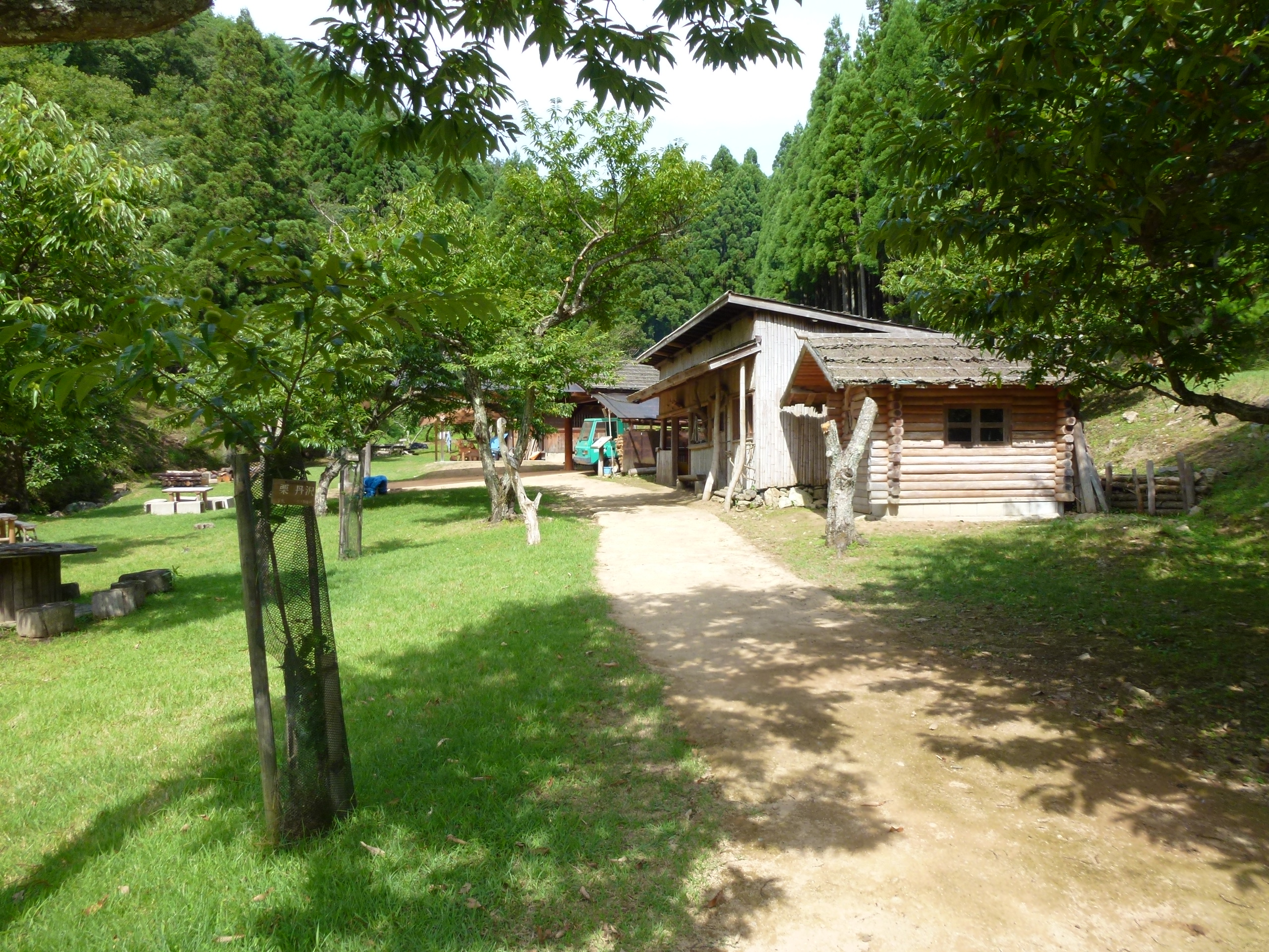 P1000291.JPG