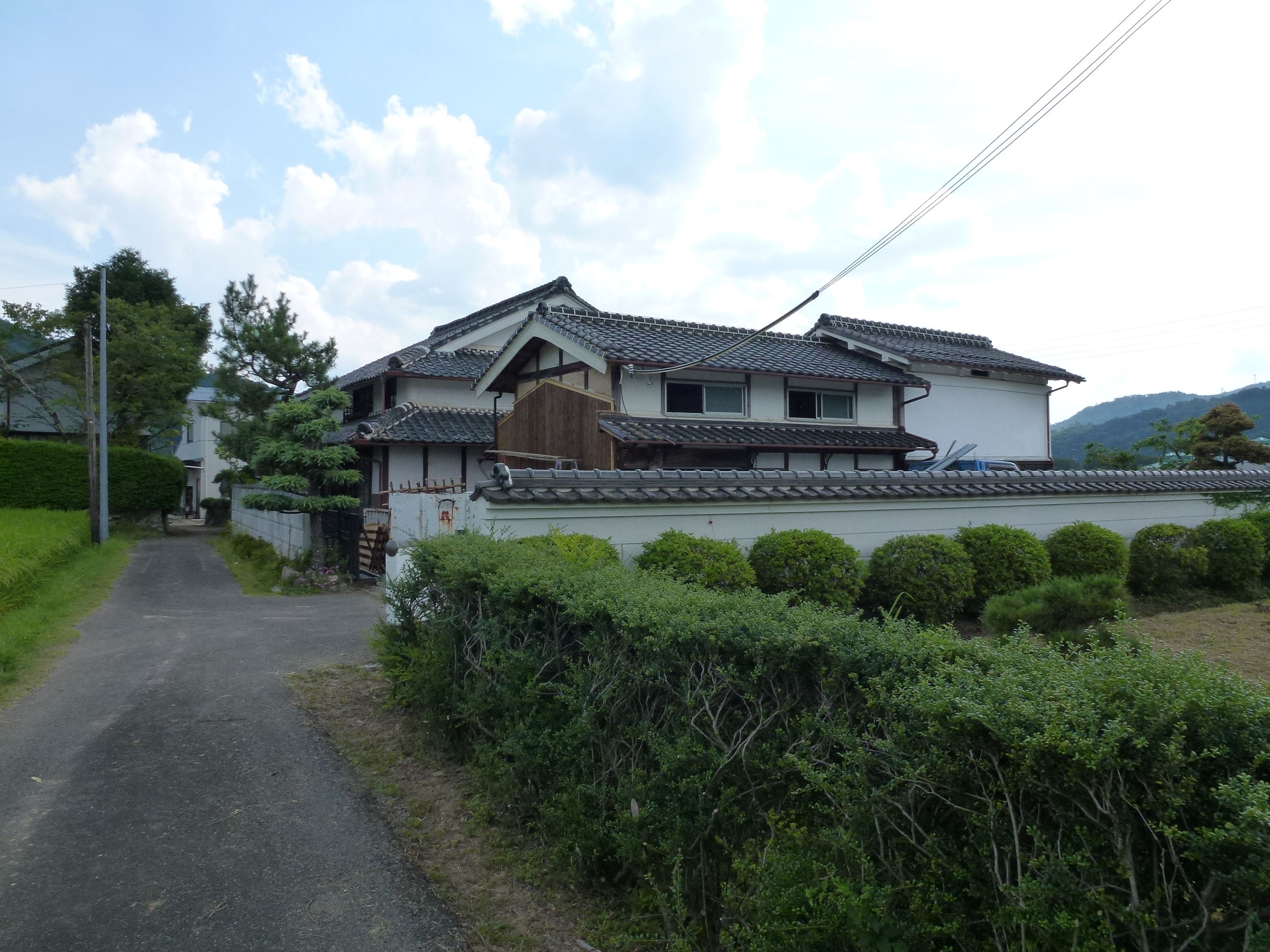 P1000293.JPG