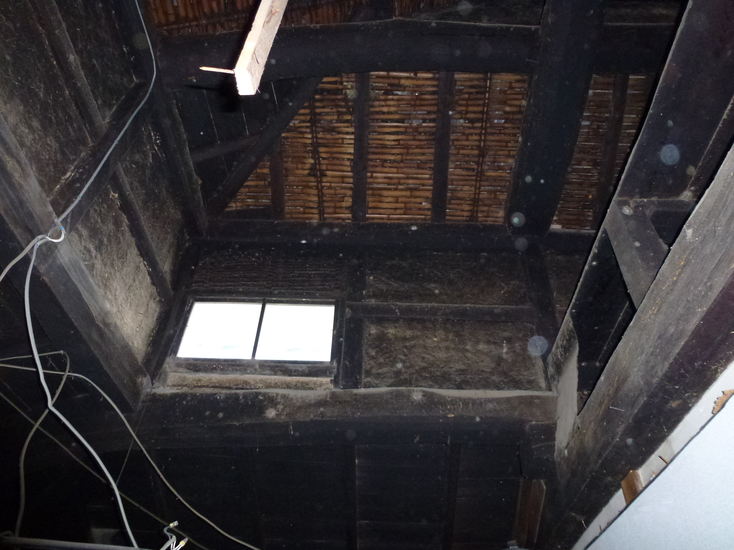 P1000299.JPG