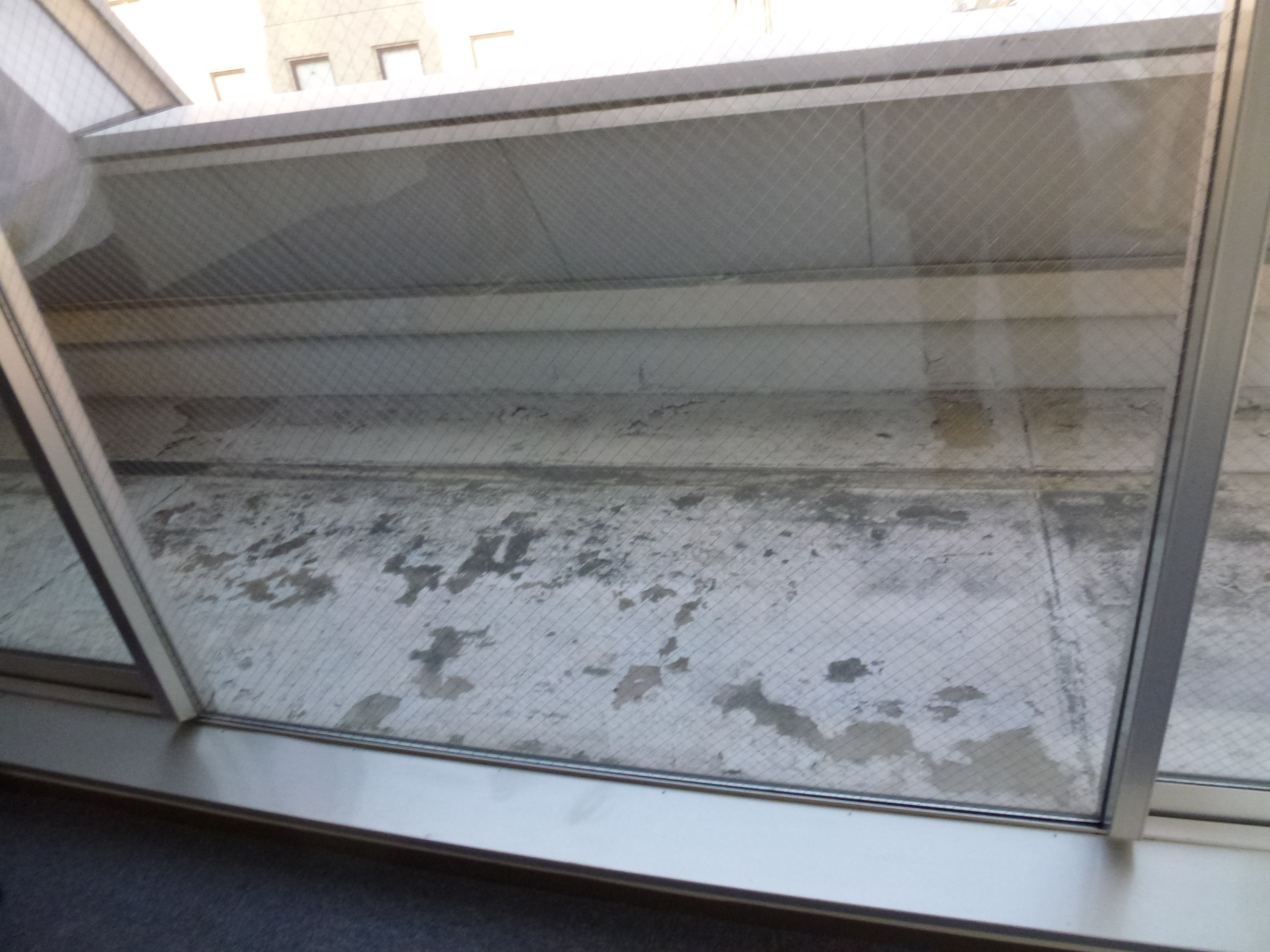 P1000309.JPG