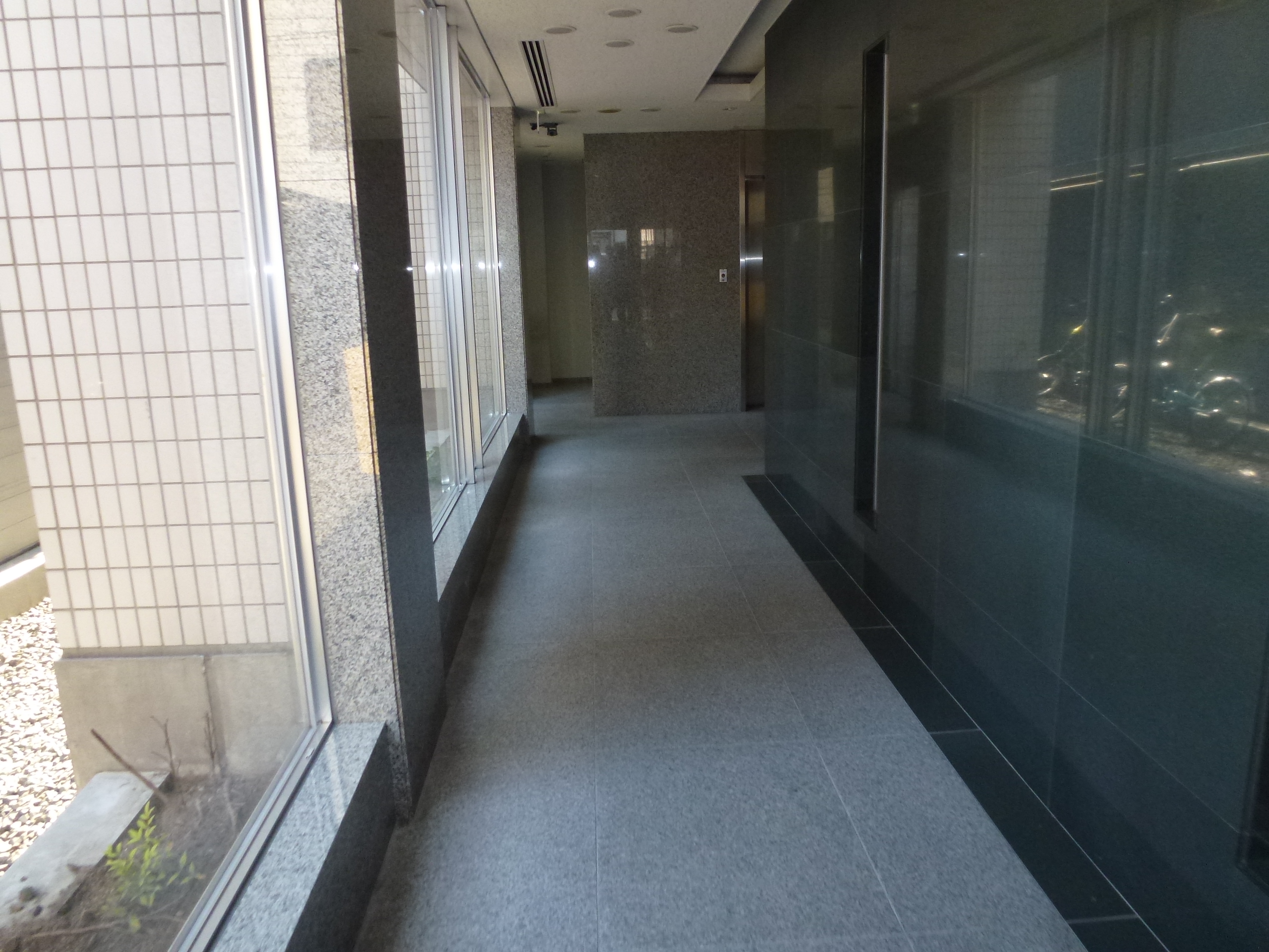 P1000332.JPG