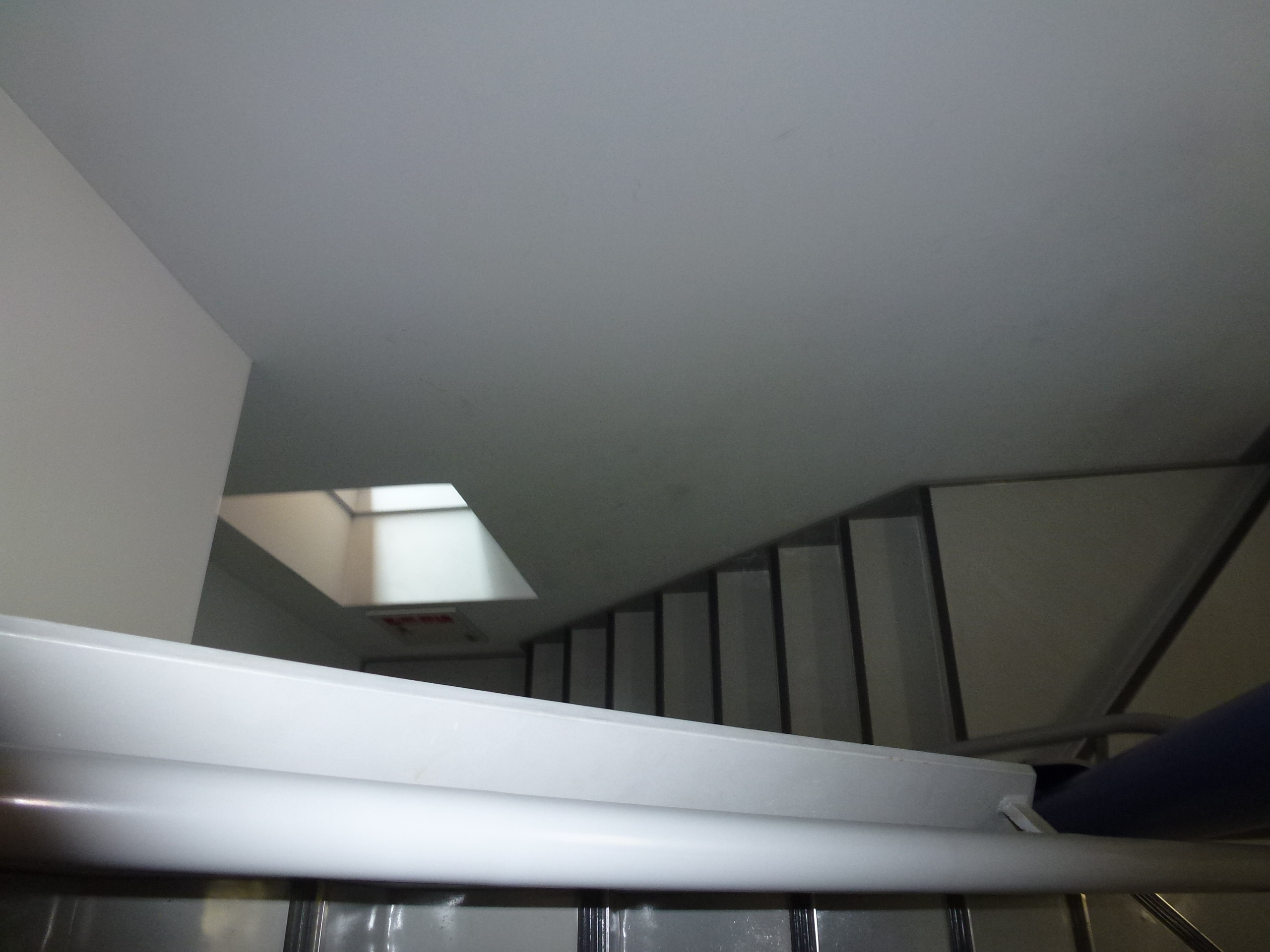 P1000335.JPG