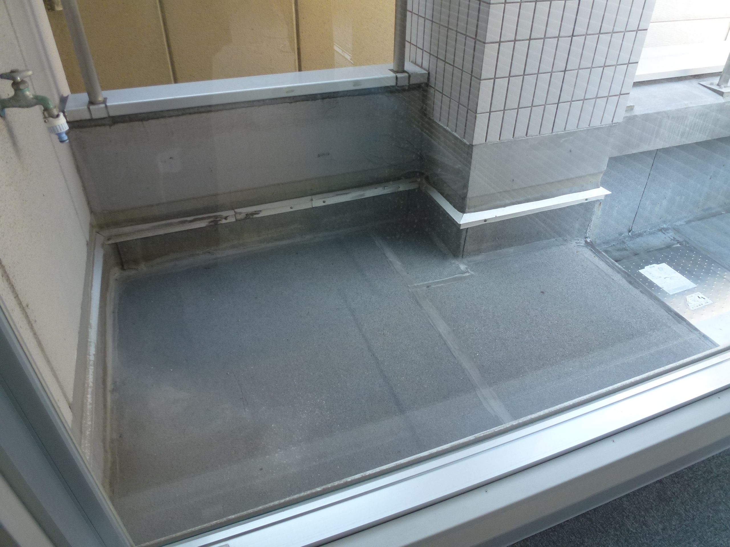 P1000343.JPG
