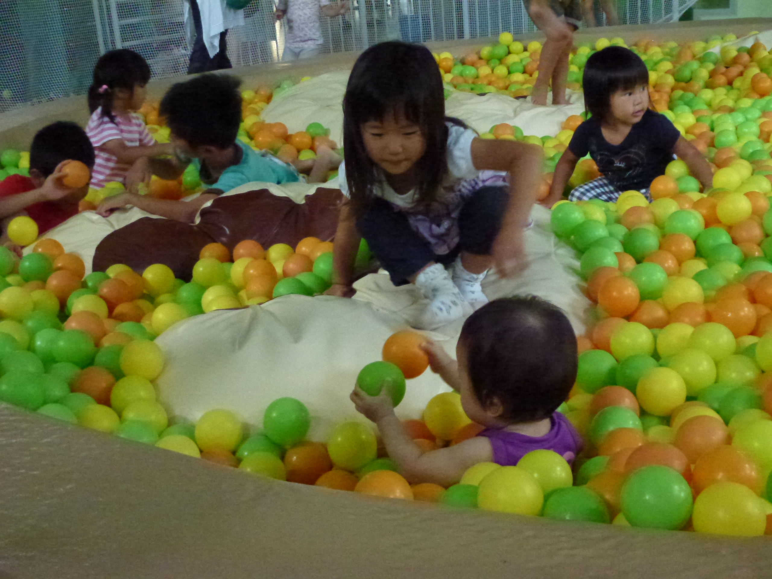 P1000387.JPG