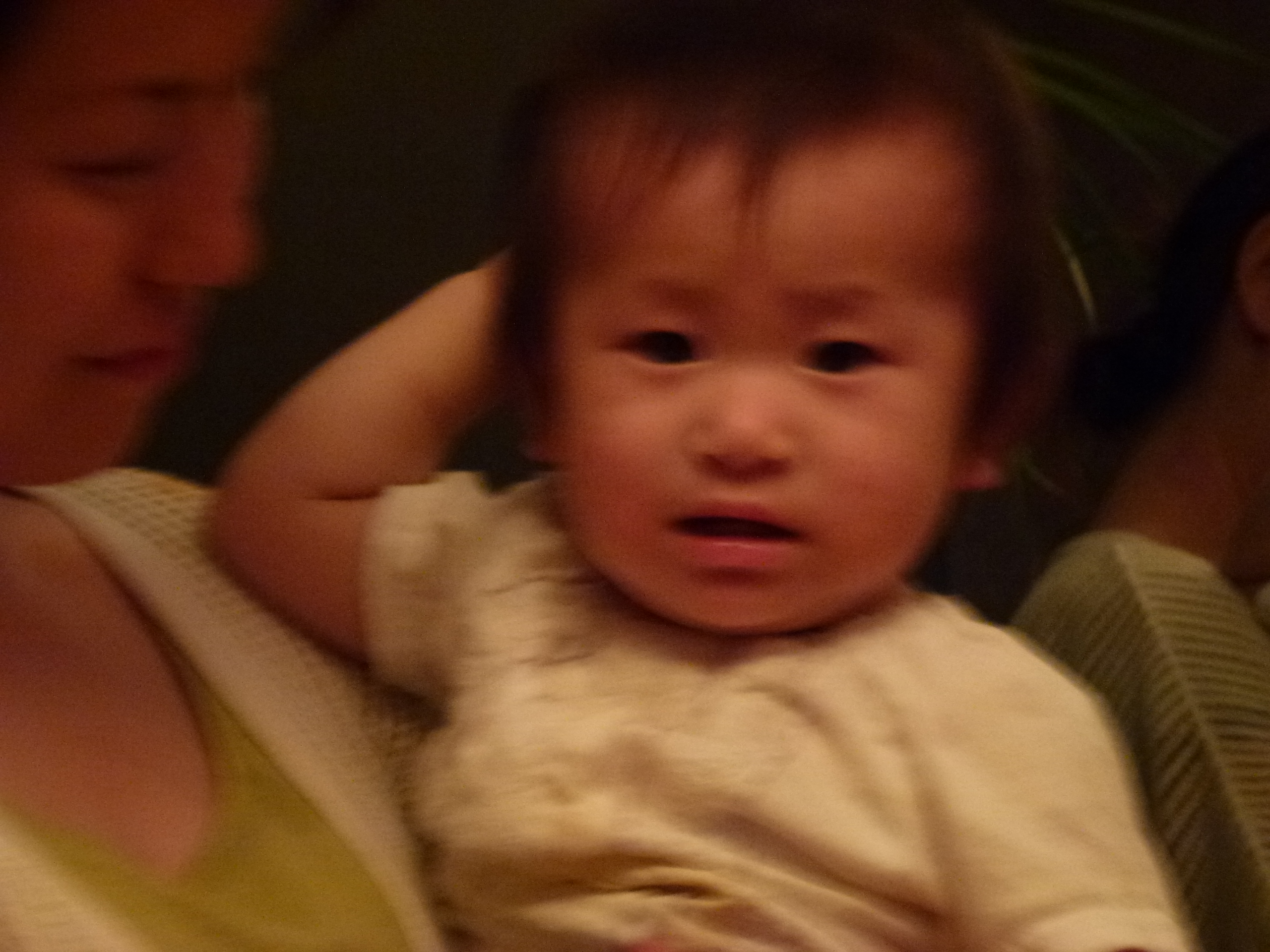 P1000399.JPG
