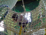 img0004.jpg