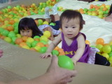 img0031.jpg