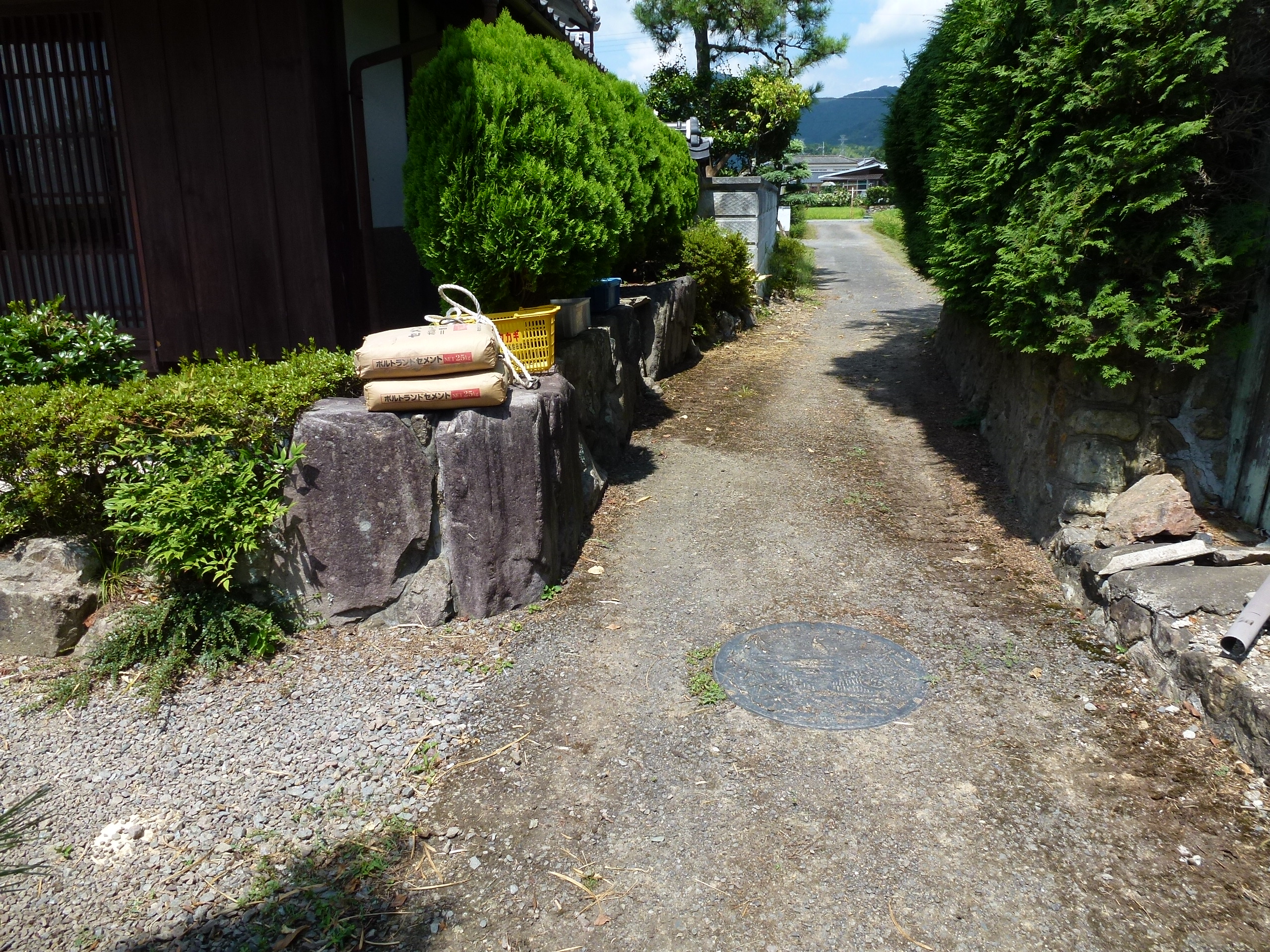P1000417.JPG