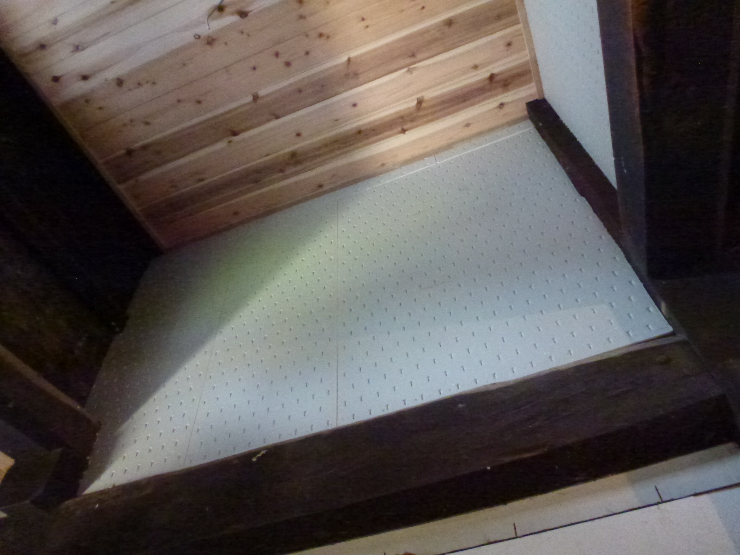 P1000422.JPG