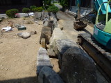 img0014.jpg