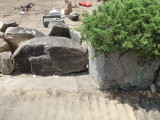img0016.jpg