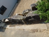img0008.jpg
