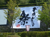 img0016.jpg