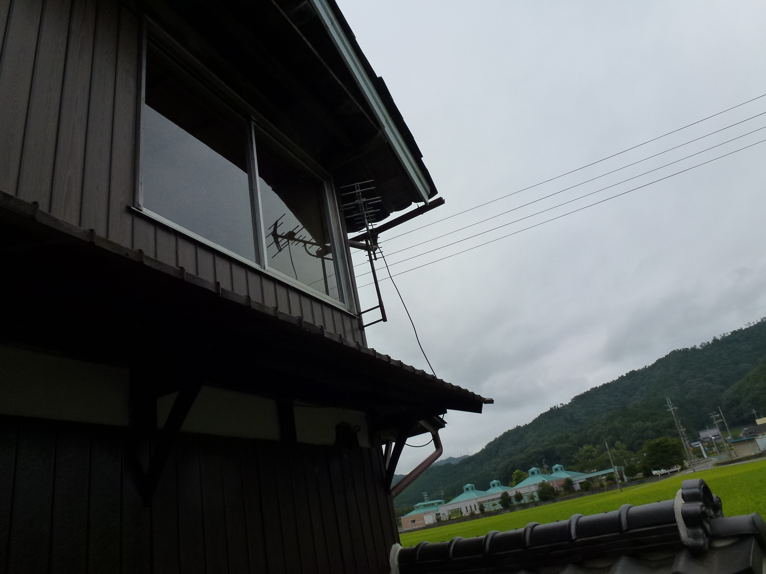 P1000496.JPG