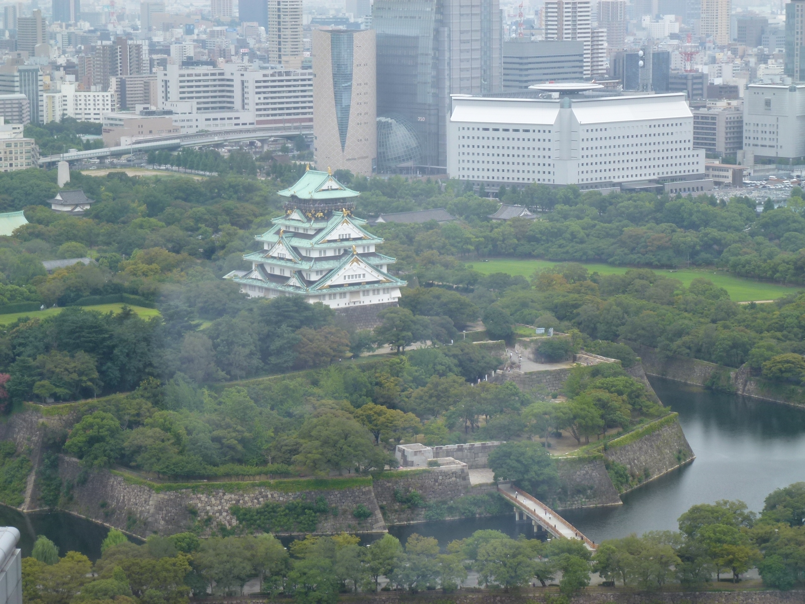 P1000516.JPG