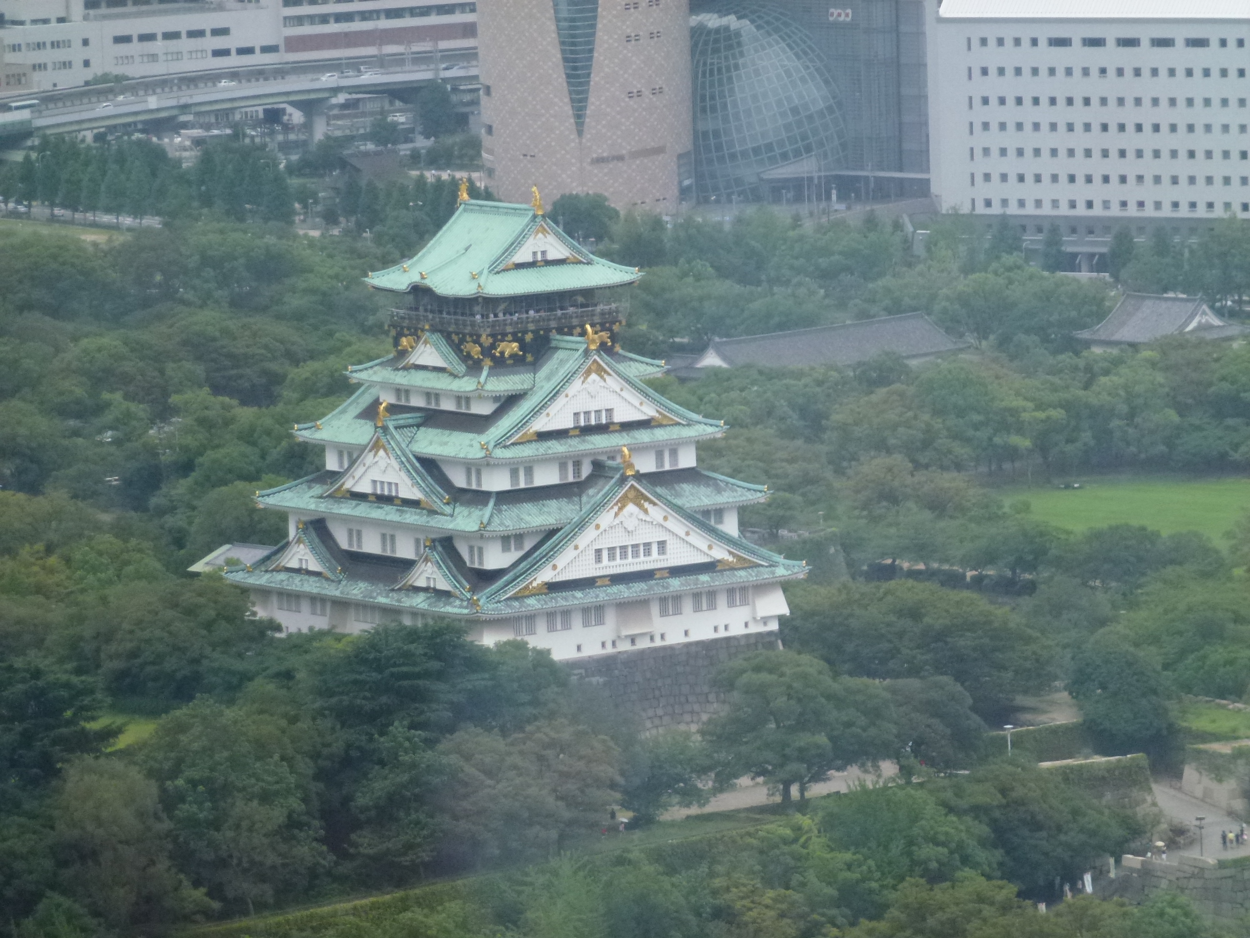 P1000518.JPG