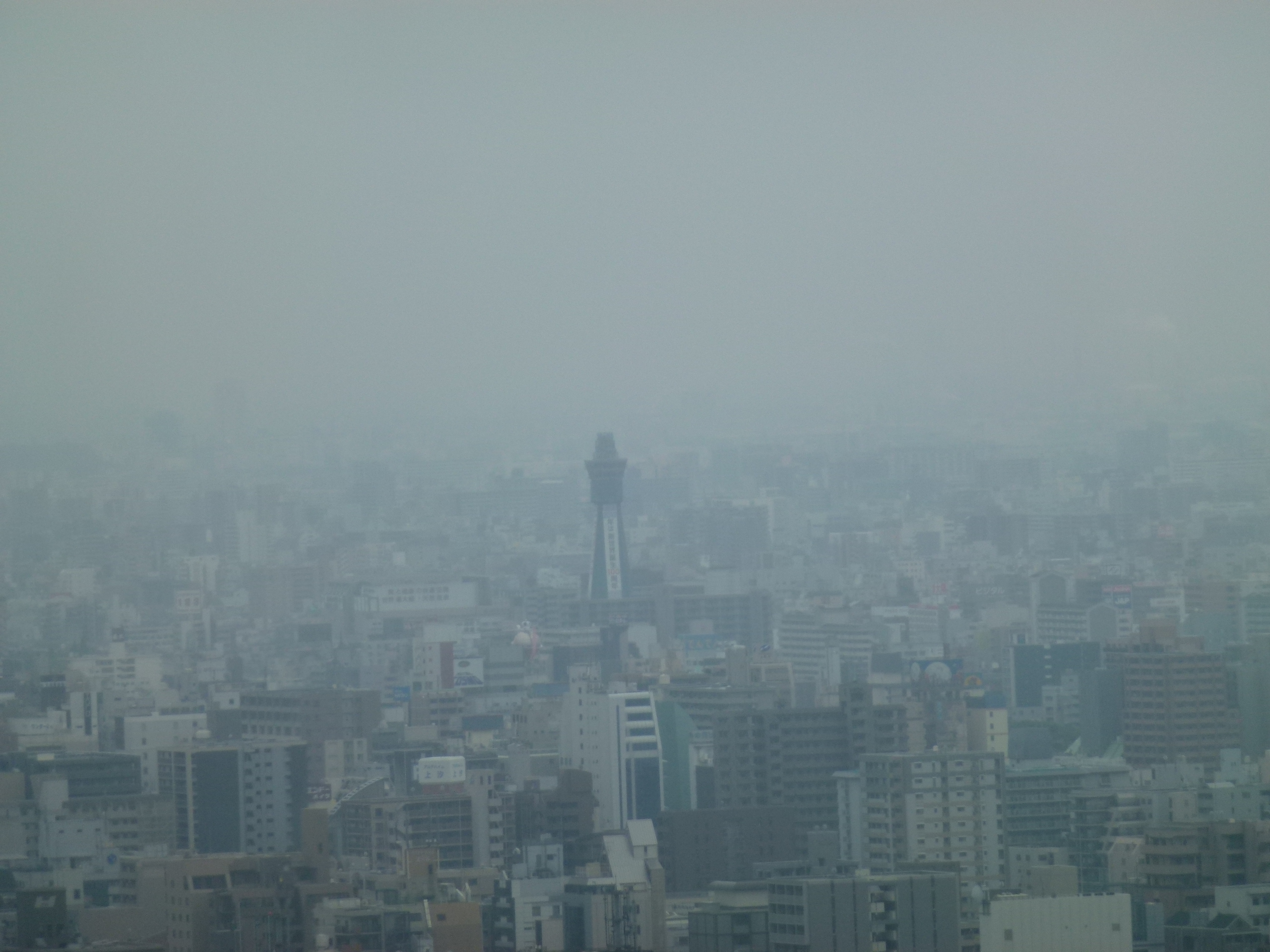 P1000526.JPG